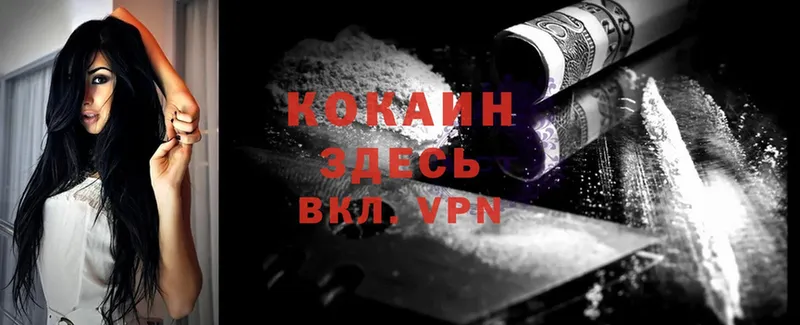 Кокаин Fish Scale  darknet клад  Ясногорск  дарнет шоп 